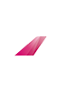 PAS federal flights Logo